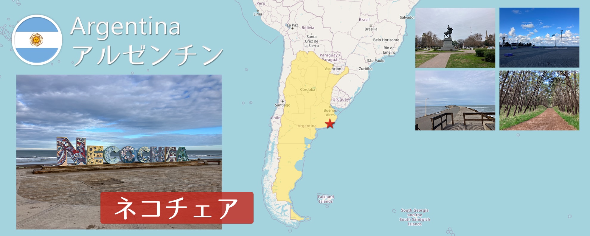 -ネコチェア