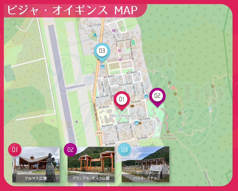 ビジャ・オイギンス