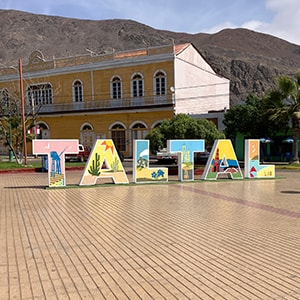 タルタル