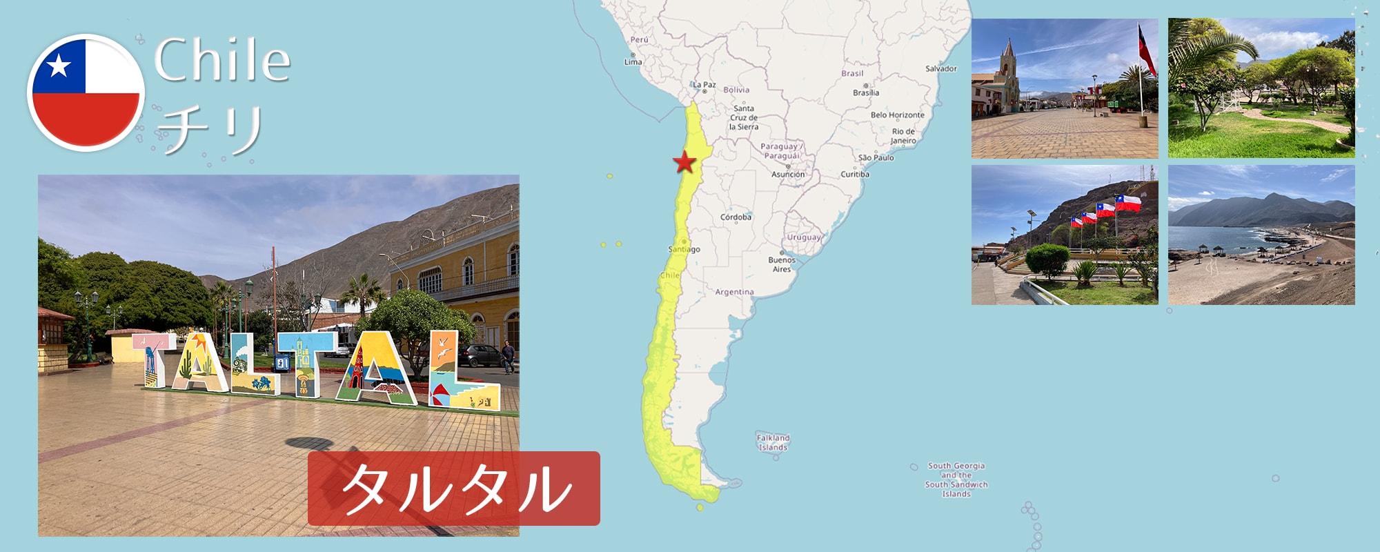 -タルタル