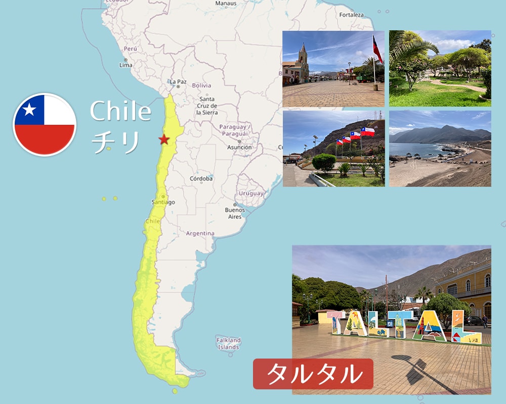 タルタル